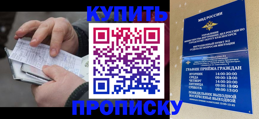 временная регистрация недорого в Ленинградской области